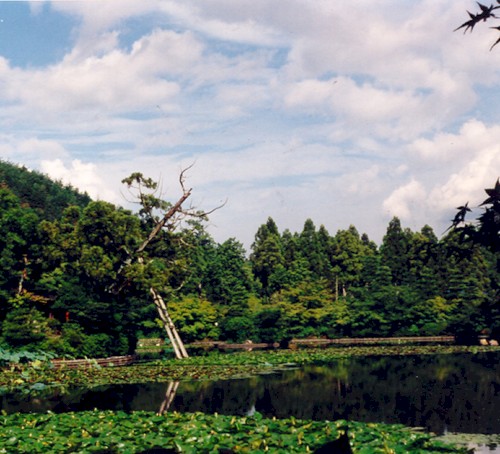Postcard From Kyoto