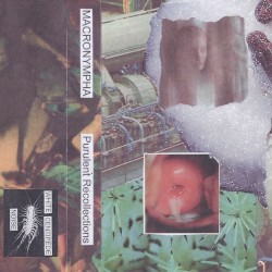 Purulent Recollections