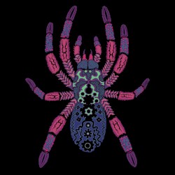 Kangaroo Ground / Ferntree Gully