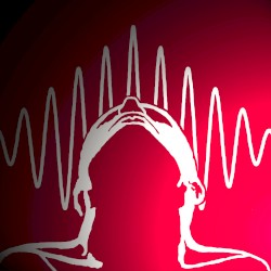 The Collapse of the Wave Function, Volume 4: Many Worlds