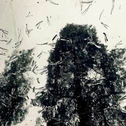 Fragments II: Collected Refrains From Lost Thoughts