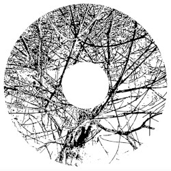 MMXX - 07: In All Due Deference