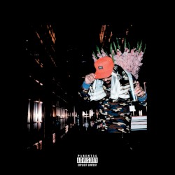 No Vi$ible Means of Income 2