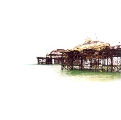 Too Beautiful to Burn