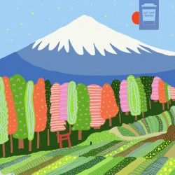 Fuji Fields