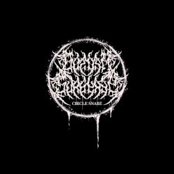 circle snare