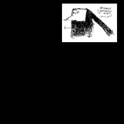 Birchville Cat Motel / Reynols