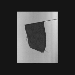 The Prey and the Ruler