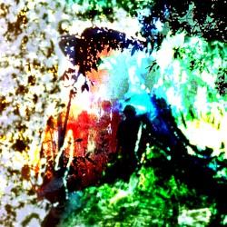 The Bible Says Sex Should Be Between Me and Other Peoples' Girlfriends