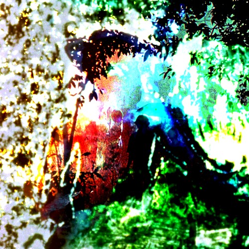 The Bible Says Sex Should Be Between Me and Other Peoples' Girlfriends