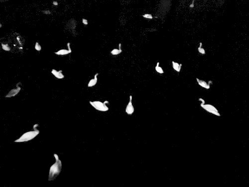 Backgrounds for Killing Time