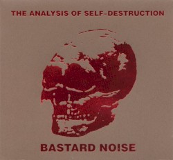 The Analysis of Self-Destruction