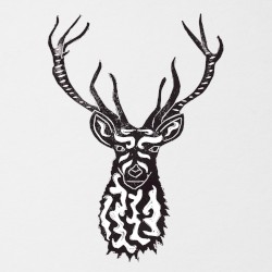 Collision of an Ancient Mind and a Modern World