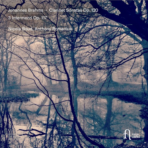 Clarinet Sonatas, op. 120 / 3 Intermezzi, op. 117