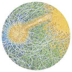 Feeling Is Structure