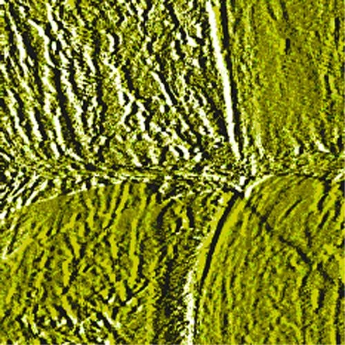 アルファベットが、消えてしまいますように