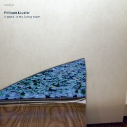 A Pond in My Living Room