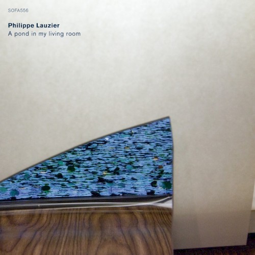 A Pond in My Living Room