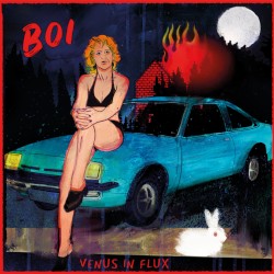 Venus in Flux
