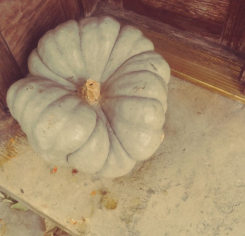 The Second Floor Is Vacant