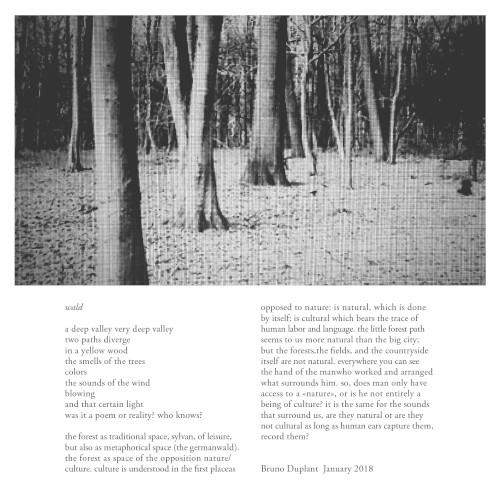 Wald