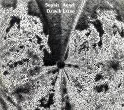 Marguerite d'Or Pâle