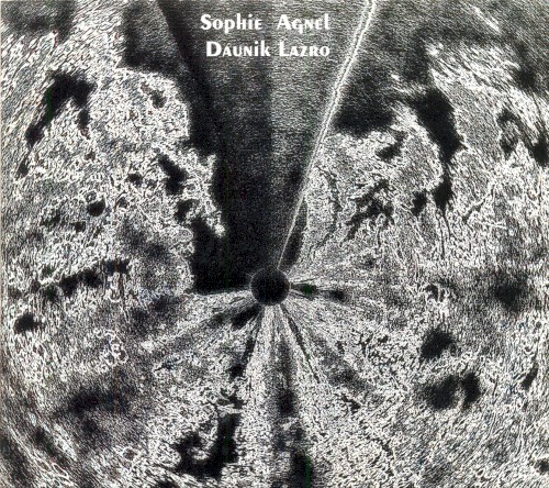 Marguerite d'Or Pâle