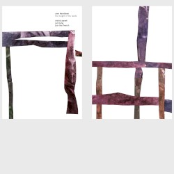 The Height of the Reeds