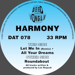 Roundabout / Let Me In Remix / All Your Dreams