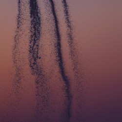 Infinite Loops: Spirits Drifting