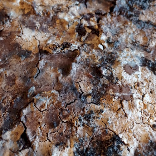 ARP2600 Improvisations