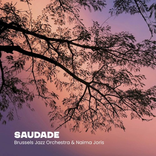 Saudade