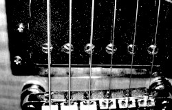 The Reverent Beast of Burden