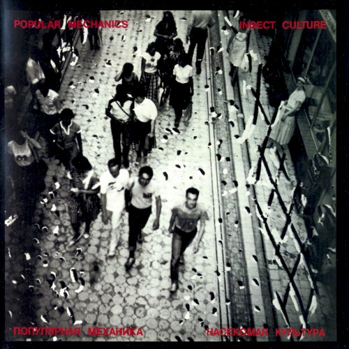 Насекомая культура