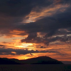 Conscience (Sleep Edition)