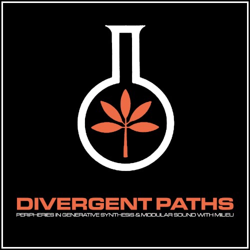 Divergent Paths (Volume Eight)