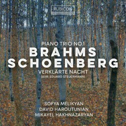 Brahms: Piano Trio no. 1 / Schoenberg/Steuermann: Verklärte Nacht