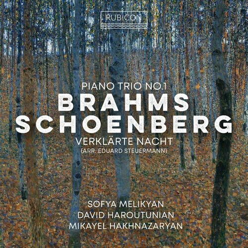 Brahms: Piano Trio no. 1 / Schoenberg/Steuermann: Verklärte Nacht
