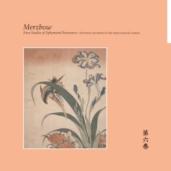 Nine Studies of Ephemeral Resonance, Volume 6