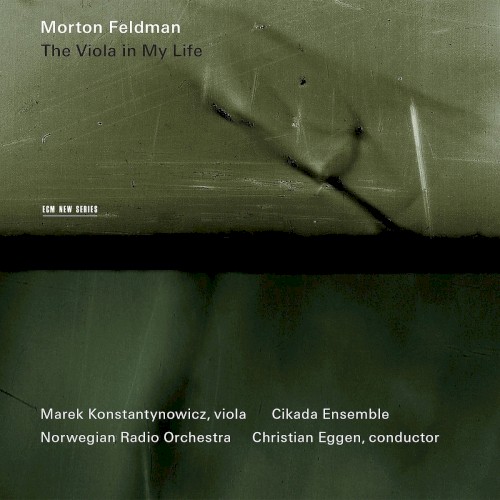 The Viola in My Life