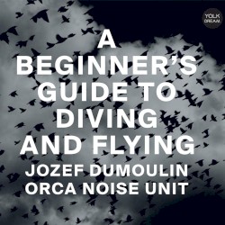A Beginner's Guide to Diving and Flying