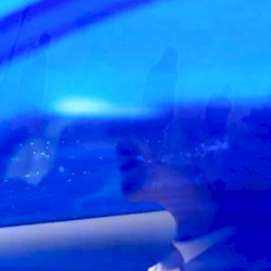 夜明けまで巡ろう