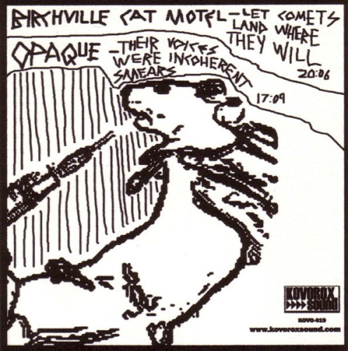 Let Comets Land Where They Will / Their Voices Were Incoherent Smears