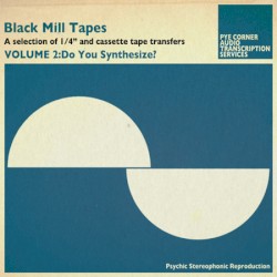Black Mill Tapes, Volume 2: Do You Synthesize?