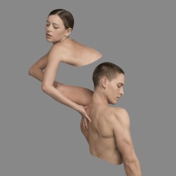 Impermanence/Disintegration