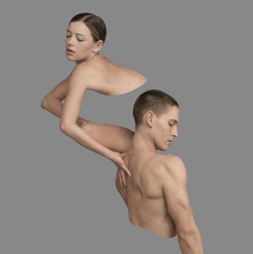 Impermanence/Disintegration