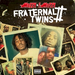 Fraternal Twins 2