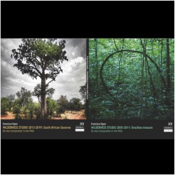 Wilderness Studio 2005–2019