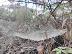 We All Need Something