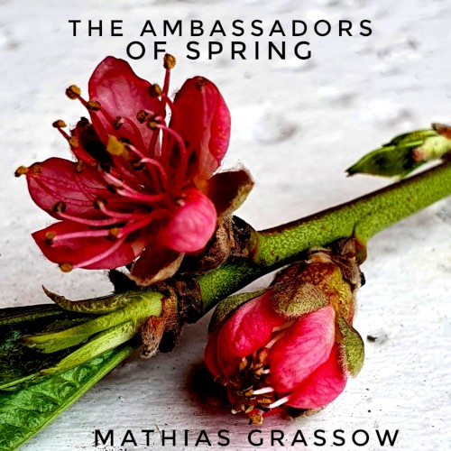 The Ambassadors of Spring
